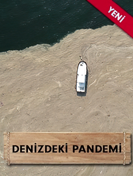 denizpandemi.jpg