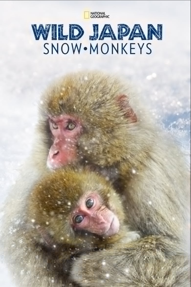 snowmonkey.jpg